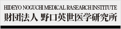 財団法人　野口英世医学研究所
HIDEYO　NOGUCHI MEDICAL RASEARCH INSTITUTE